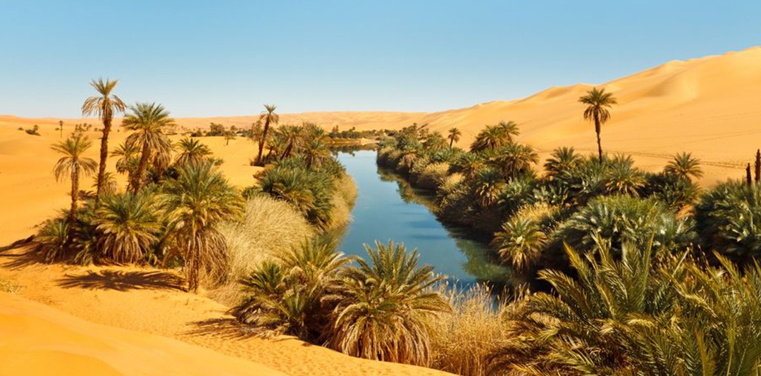 Il miraggio dell’acqua nelle oasi nel deserto